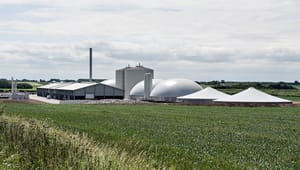 Green Power Denmark: Biogas Danmark har selv peget på overkompensation som finansieringskilde
