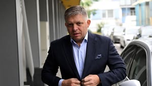 Slovakiske regeringspartier suspenderet fra EU-parti