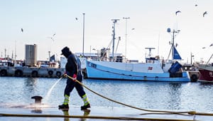 Fiskeri- og maritimbranchen: Danske havne bør tilhøre maritime virksomheder