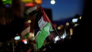 Radikale er på direkte kollisionskurs med sine pro-palæstinensiske vælgere