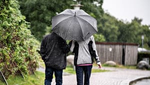 Dansk Miljøteknologi: Regeringens klimatilpasningsplan hjælper os ikke, når der kommer kraftig nedbør