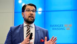 Svensk partileder kræver totalstop for nye moskeer og åbner for grundlovsændringer