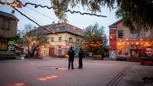 S-ordfører i København: Ideen om almene boliger på Christiania er genial