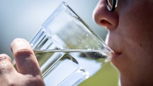 Forskere slår alarm: Vores drikkevand kan være en giftig cocktail, der misdanner drenges genitalier og nedsætter kvinders fertilitet