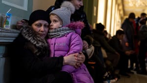 Regeringen forventer at bruge markant færre bistandsmillioner på ukrainske flygtninge