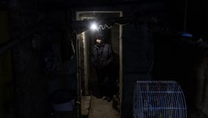 Boguddrag fra frontlinjen i Ukraine: "Jeg vil hellere dø i mit hjem end nogen andre steder"