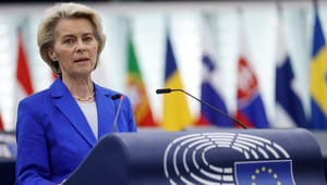 Europæisk venstrefløj kræver våbenhvile: EU har for længe været døv over for palæstinensernes lidelser