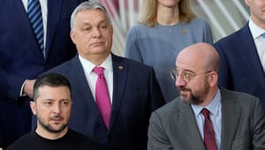 EU-præsident vil i Parlamentet til sommer: Kan bane vejen for Orbán