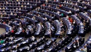 Menneskerettighedsekspert: Ny EU-lov om bæredygtige virksomheder har stadig knaster