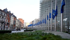 Tuborgfondet åbner millionpulje til at øge unges deltagelse ved europaparlamentsvalget
