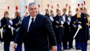 Enhedslisten: EU-landene må konfrontere Orbáns totalitære regime, der blokerer for støtten til Ukraine