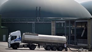 Biogas Danmark: Fra 1. januar 2025 vil CO2-afgiften straffe virksomheder, der har omstillet til grønne gasser
