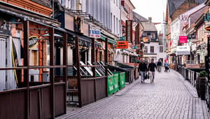 Dansk Erhvervsfremme: Det er trækheste – ikke enhjørninger – der redder dansk økonomi