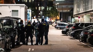 En stribe afgørende retssager kan gøre det sværere for Danmark at udvise kriminelle udlændinge