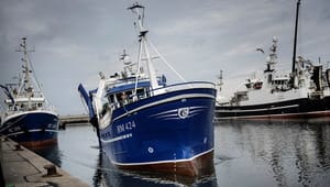 Thisted Kommune hyrer ny teknikdirektør med havneerfaring
