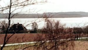 DN til S-politiker: Dit Tange Sø-forslag sikrer ikke god økologisk tilstand i Gudenåen 