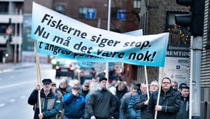 Danmarks Fiskeriforening: Fiskeriet har brug for ro, stabilitet og muligheder for en bæredygtig udvikling