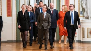 Eksperter: Danmarks formandskab er EU’s grønne skæbnestund