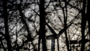 Regeringens energikrisestab vil have vindmøller ud i skovene