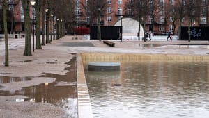 DI: Meterhøje oversvømmelser i gaderne og saltvand i metroen – regeringen bør sætte turbo på klimatilpasning