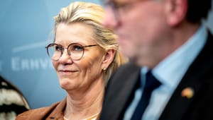 Mette Reissmann: Stærke danske iværksættere er en geopolitisk god idé
