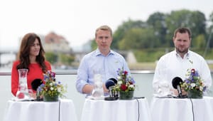 Én DF’er har brugt flere penge på Facebook-reklamer end nogen anden i dansk politik: "Vi har satset hele butikken"