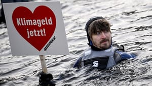 Greenpeace: De danske klimamål er nødvendige, men vi bruger dem forkert 