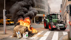 Siden traktorerne buldrede ind i Bruxelles, er EU kommet landmændene i møde på flere punkter. Få overblikket her