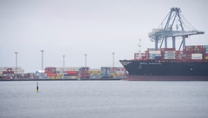 Danmarksdemokraterne: Danske havne har ikke tid til regeringens nøleri