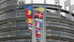 Institut for Menneskerettigheder: Vi har brug for robust implementering af EU-direktiv om bæredygtighed