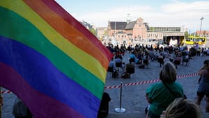 LGBTI+ organisationer i fællesopråb: Vilkår for minoritetsetniske LGBTI+ personer må ikke forringes yderligere