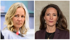 Ida Auken forsvarer partifælle: Paula Larrain skylder Frederik Vad en undskyldning
