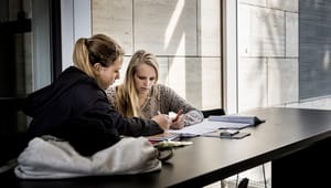 KU-ansatte: Små universitetsfag sikrer Danmarks udsyn