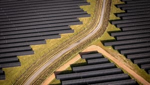 12 erhvervsaktører: Giv solceller og vindmøller lov til at stå på lavbundsjorde og i skove