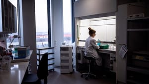 Forskningsråd: Med stærkere fonde er staten ikke længere ene om at sætte retningen for dansk forskning