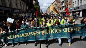 Danskerne slår fast i ny måling: Klimaforandringerne er det største grønne problem 