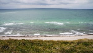 Dansk farvand får det ikke bedre af regeringens fejlagtige tilgang til naturbeskyttelse