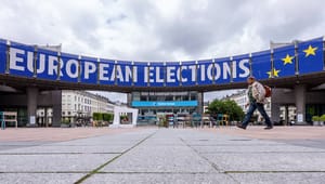 Roger Buch: Europaparlamentsvalget findes ikke
