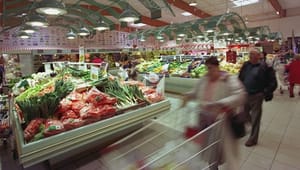 Ekspert: Fem til ti pct. billigere fødevarer i 2009