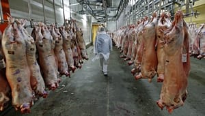 Gennembrud for dansk kødkontrol