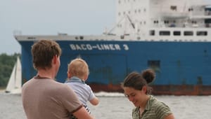 Skibstrafik koster Danmark menneskeliv og milliarder 