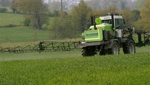 Nye forsøg bekræfter teori om pesticidcocktails
