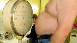 Overvægtige mænd og unge under lup