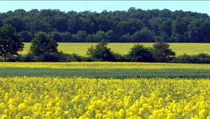 Eksperter afviser landbrugets pesticid-påstande