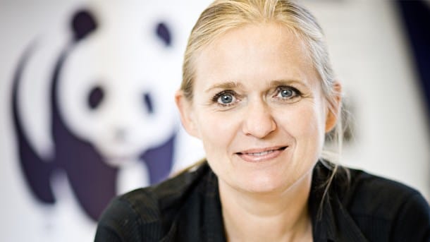 Fra pandaer til biler: Her er Gitte Seebergs nye job