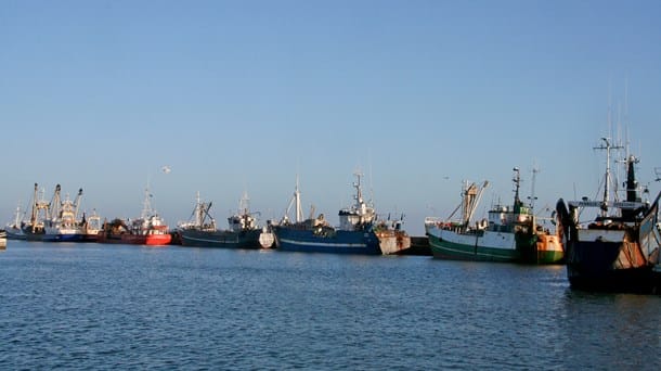 Fiskeristyrelsen lagt ned: Fiskere ved ikke, hvor meget de må fiske