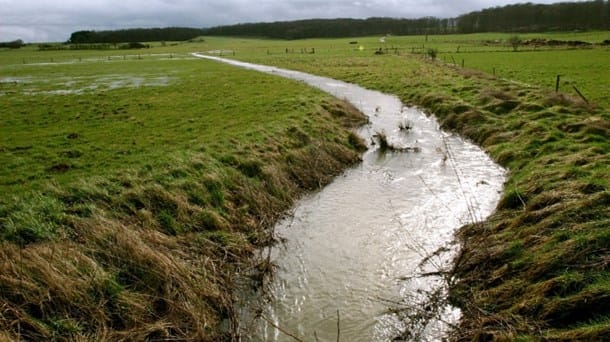 Danske Vandløb: Minister fjerner ikke nok vandløb fra vandplanerne