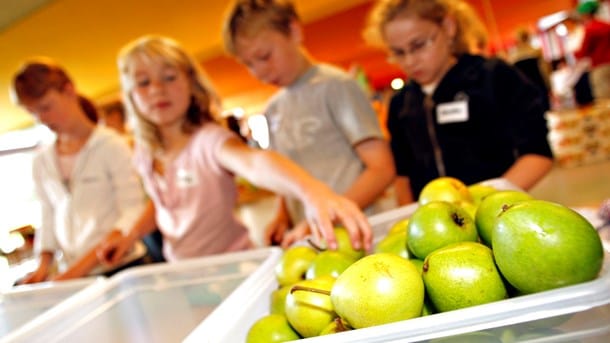 Brexit kan gøre dansk skolemælk og skolefrugt dyrere
