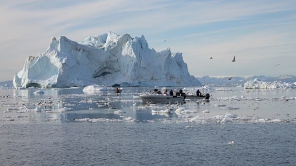 Landsstyre: Forkert at tegne et billede af kollaps i det grønlandske fiskeri