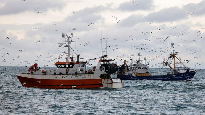 Fiske-ngo: Gør kamera obligatorisk på alle fiskefartøjer i EU